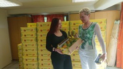 DSC_1564 (Custom) DSC_1564 (Custom)