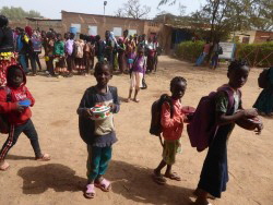 P1090112 (Custom) P1090112 (Custom)