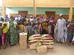 P1090187 (Custom) P1090187 (Custom)