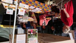 DSC_3309 (Large) (Custom)