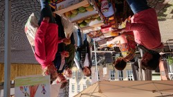 DSC_3311 (Large) (Custom)