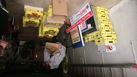 DSC_4544 (Custom) DSC_4544 (Custom)