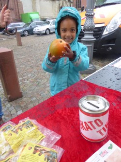 P1040549 (Custom) P1040549 (Custom)