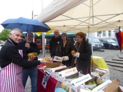 P1040552 (Custom) P1040552 (Custom)