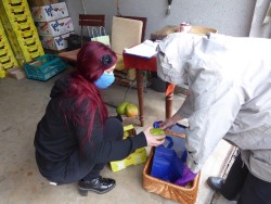 P1060046 (Custom) P1060046 (Custom)