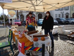 P1060628 (Custom) P1060628 (Custom)