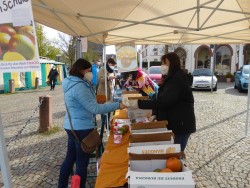 P1060629 (Custom) P1060629 (Custom)