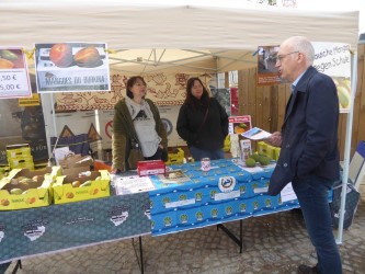 P1080794 (Custom) P1080794 (Custom)