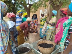 IMG_20251217_104420_1 (Custom)