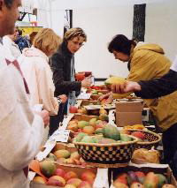 Mangoaktion_2003_2-200