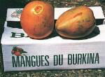 Mangokiste04_150